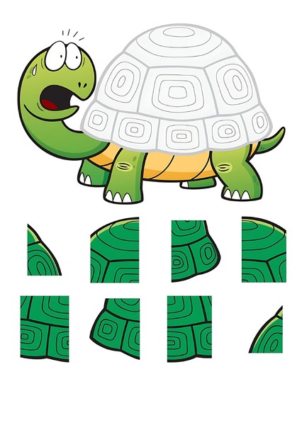Colagem - Tartaruga