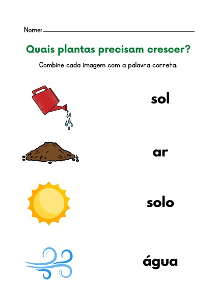 O que as Plantas Precisam para Crescer? v.2