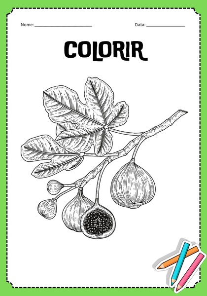 Vamos Colorir - Figueira v.2